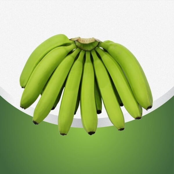 PREMIUM-4 HANDS